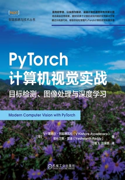 PyTorch计算机视觉实战：目标检测、图像处理与深度学习