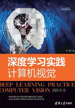 深度学习实践：计算机视觉