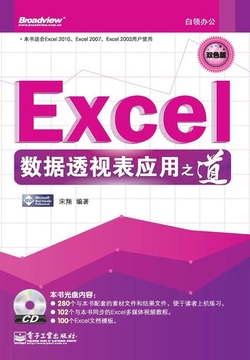 Excel数据透视表应用之道(双色板)