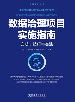数据治理项目实施指南：方法、技巧与实践